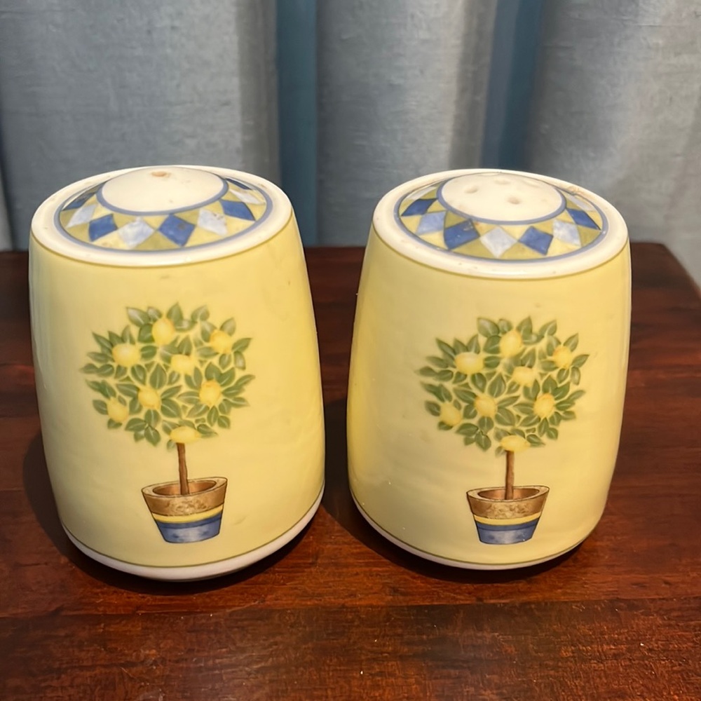 Royal Doulton Carmina (Lemon Tree) Salt & Pepper Shakers